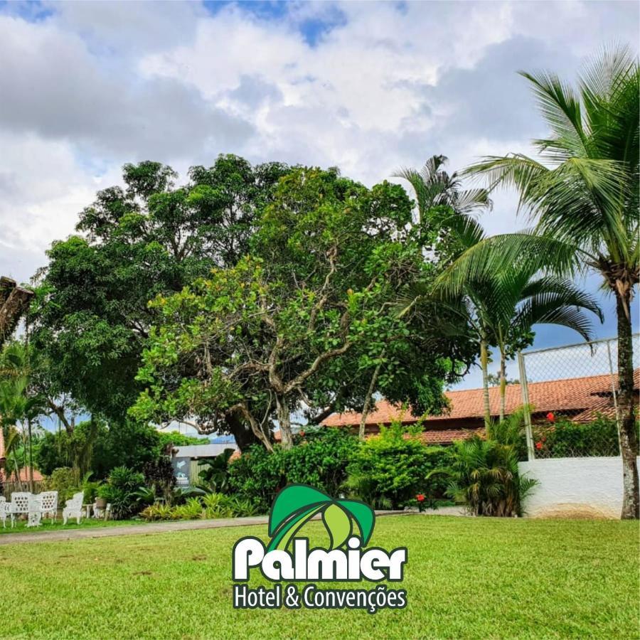 Palmier & Convencoes