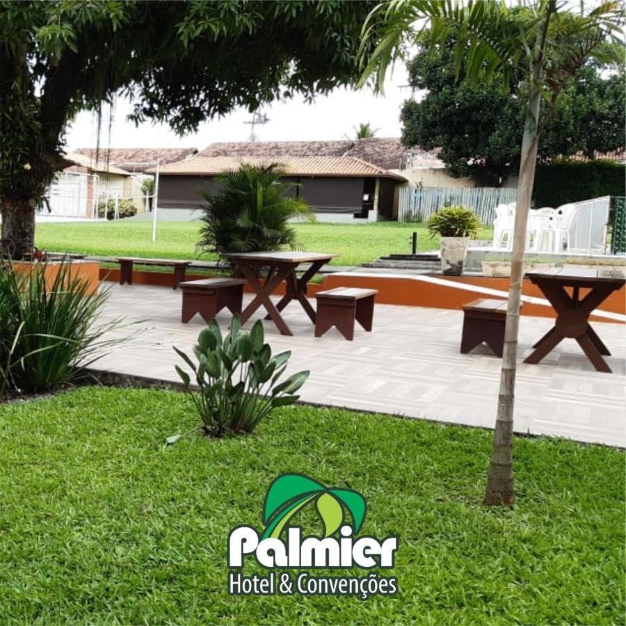 Palmier & Convencoes